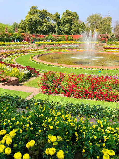 Brindavan Garden is the best place to visit in Mysore