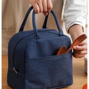 EUFLORIA Insulated Travel Lunch/Tiffin/Storage Bag for Women and Men Office, Collage and School (Multicolor P1A2)